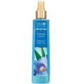 Morning Glory Fragrance Body Mist 8 oz Pack of 3 F35690