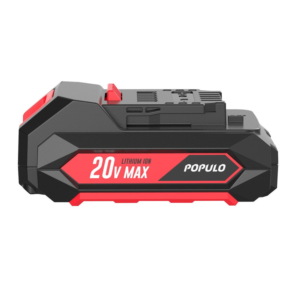 20V Max Lithium Ion 2.0Ah Battery Pack R144357