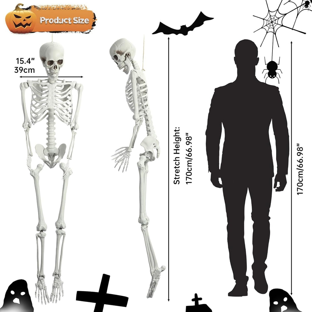 5.4 Ft White Skeleton with Movable Joints Z408