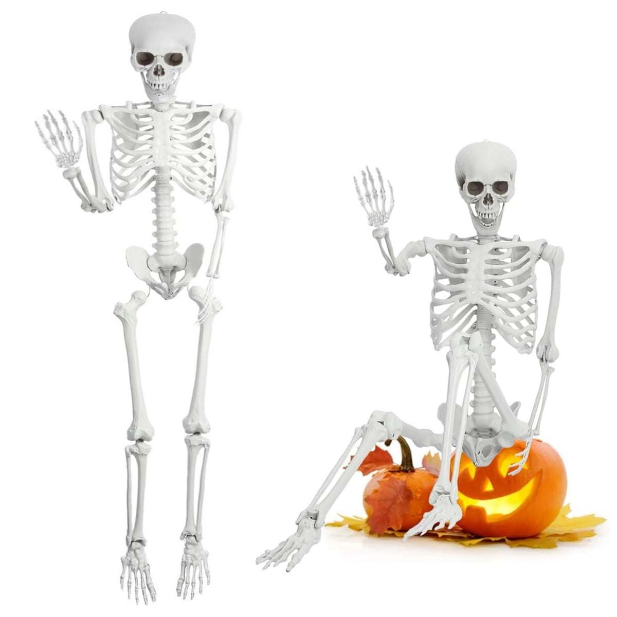 5.4 Ft White Skeleton with Movable Joints Z408