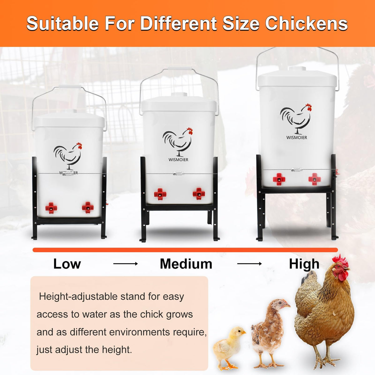 3 Gallon Heated Chicken Waterer W5123