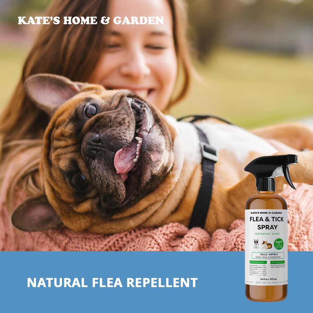 Flea and Tick Spray for Dogs & Cats 16oz E412623