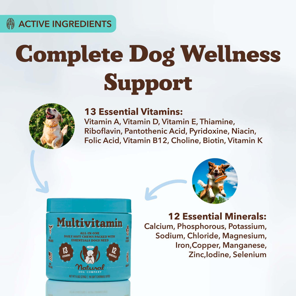 25-in-1 Multivitamin for Dogs 180 Count H5252