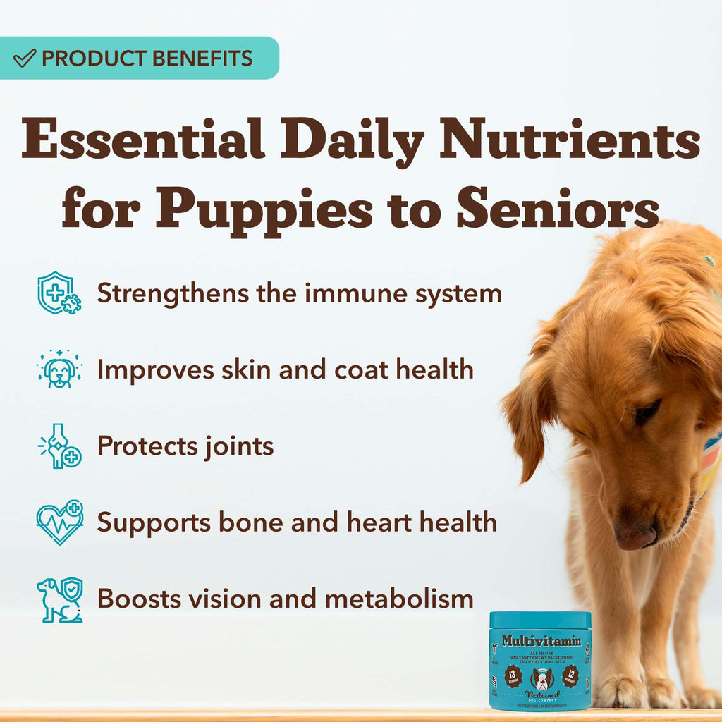 25-in-1 Multivitamin for Dogs 180 Count H5252