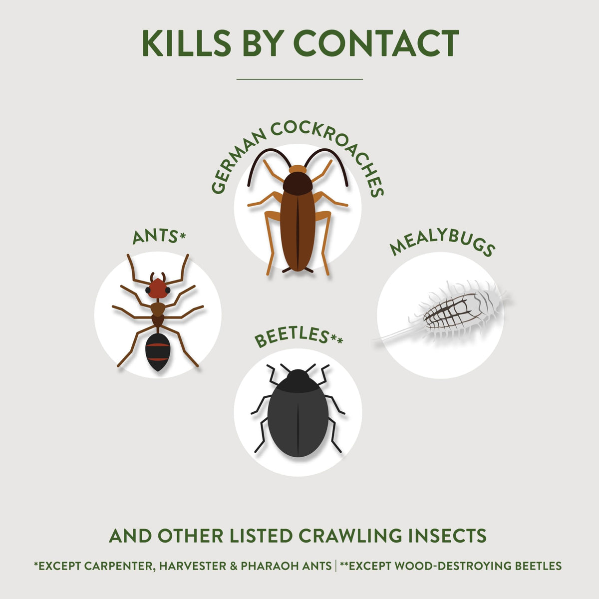 Crawling Insect Killer with Diatomaceous Earth 4 Lb H18016