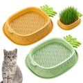 2 Pack Hydroponic Cat Grass Planter V993