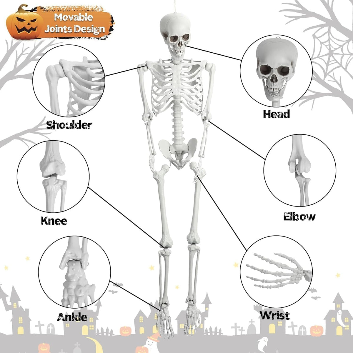 5.4 Ft White Skeleton with Movable Joints Z408