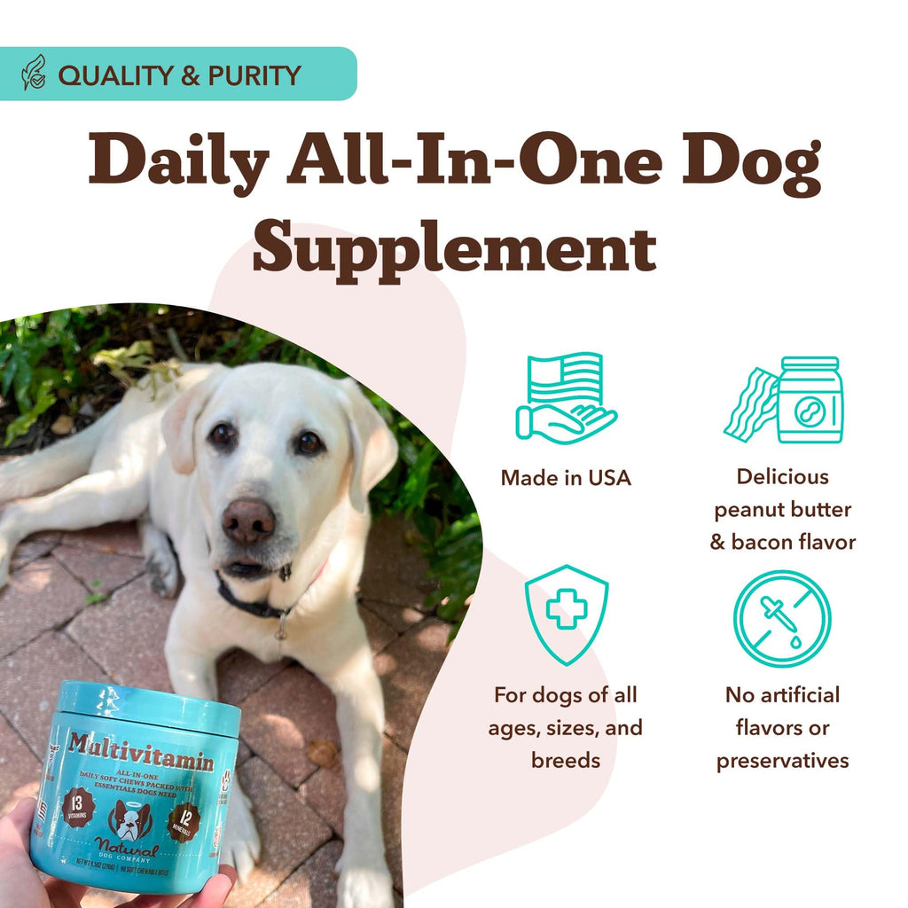 25-in-1 Multivitamin for Dogs 180 Count H5252