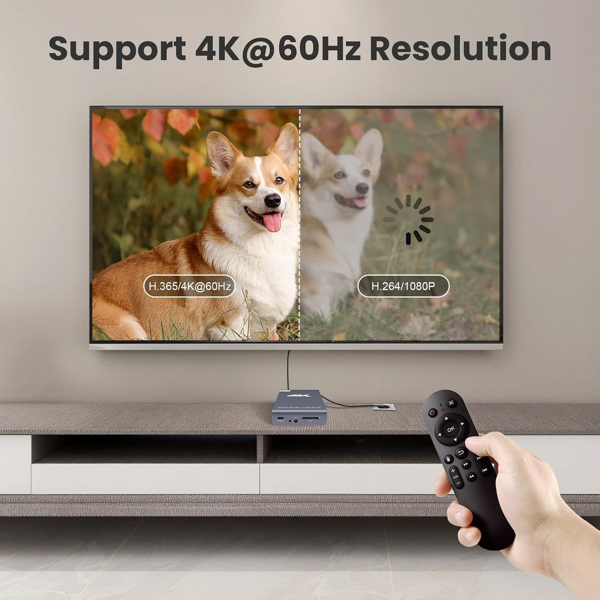 4K 60Hz H.265 Ultra HD Digital Media Player & HDD Enclosure 2 in 1 O979