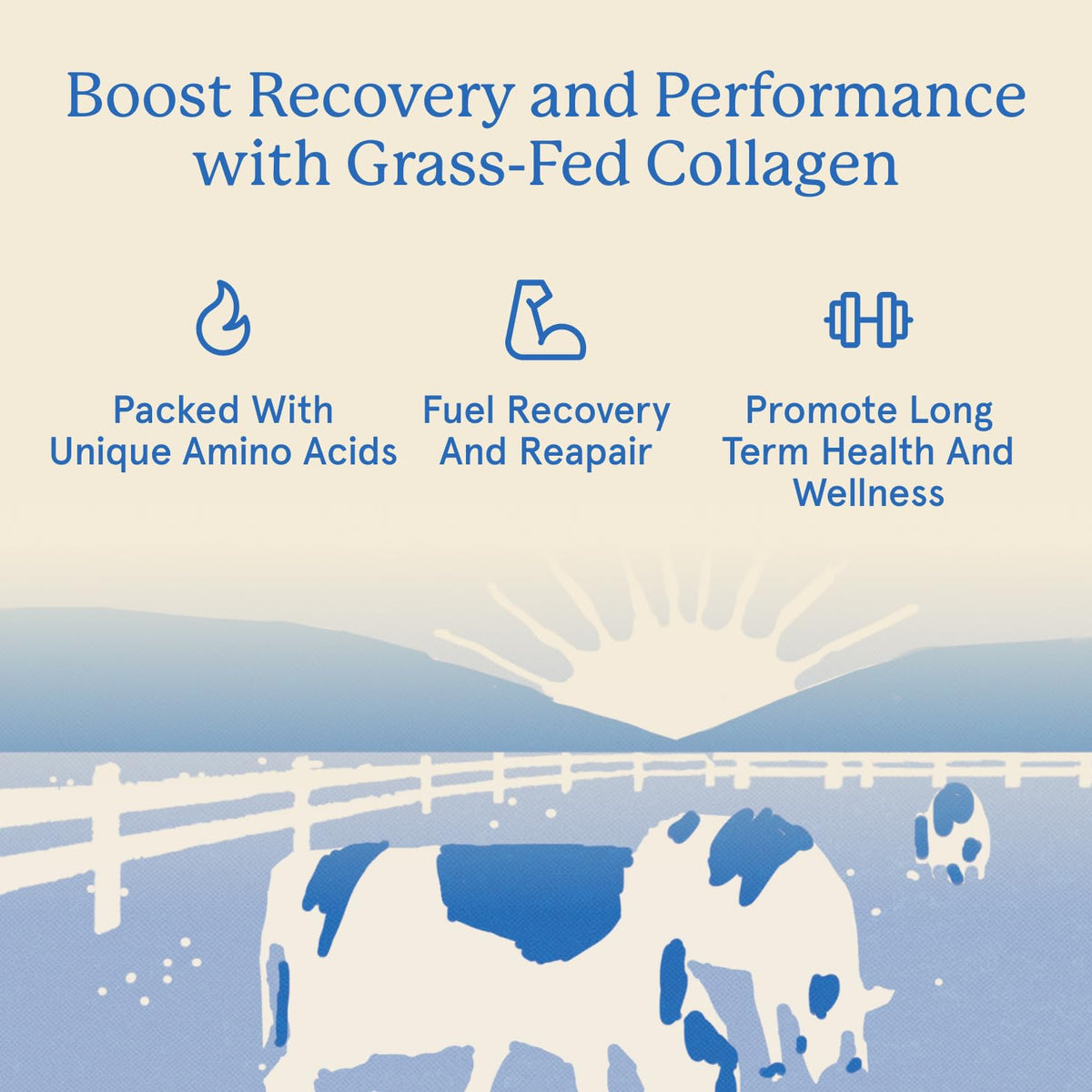 Grass Fed Hydrolyzed Bovine Collagen Peptides Powder C28439