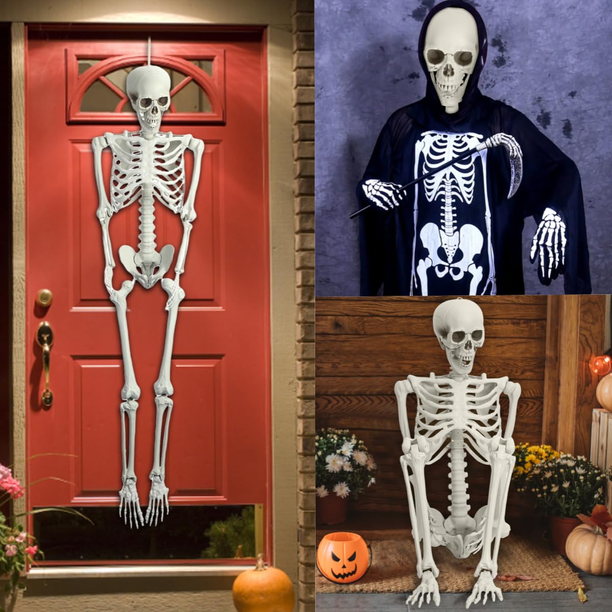 5.4 Ft White Skeleton with Movable Joints Z408