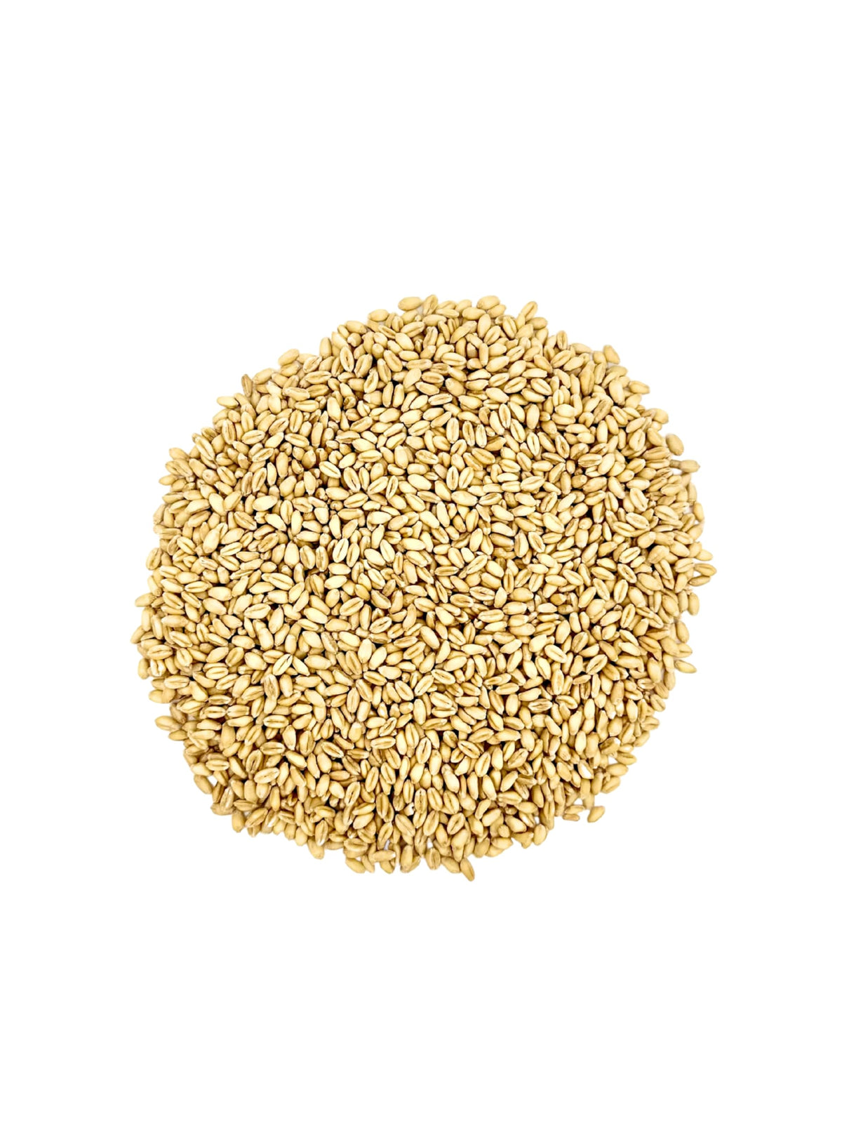 Soft White Wheat Berries 23 lbs Non-GMO A942828