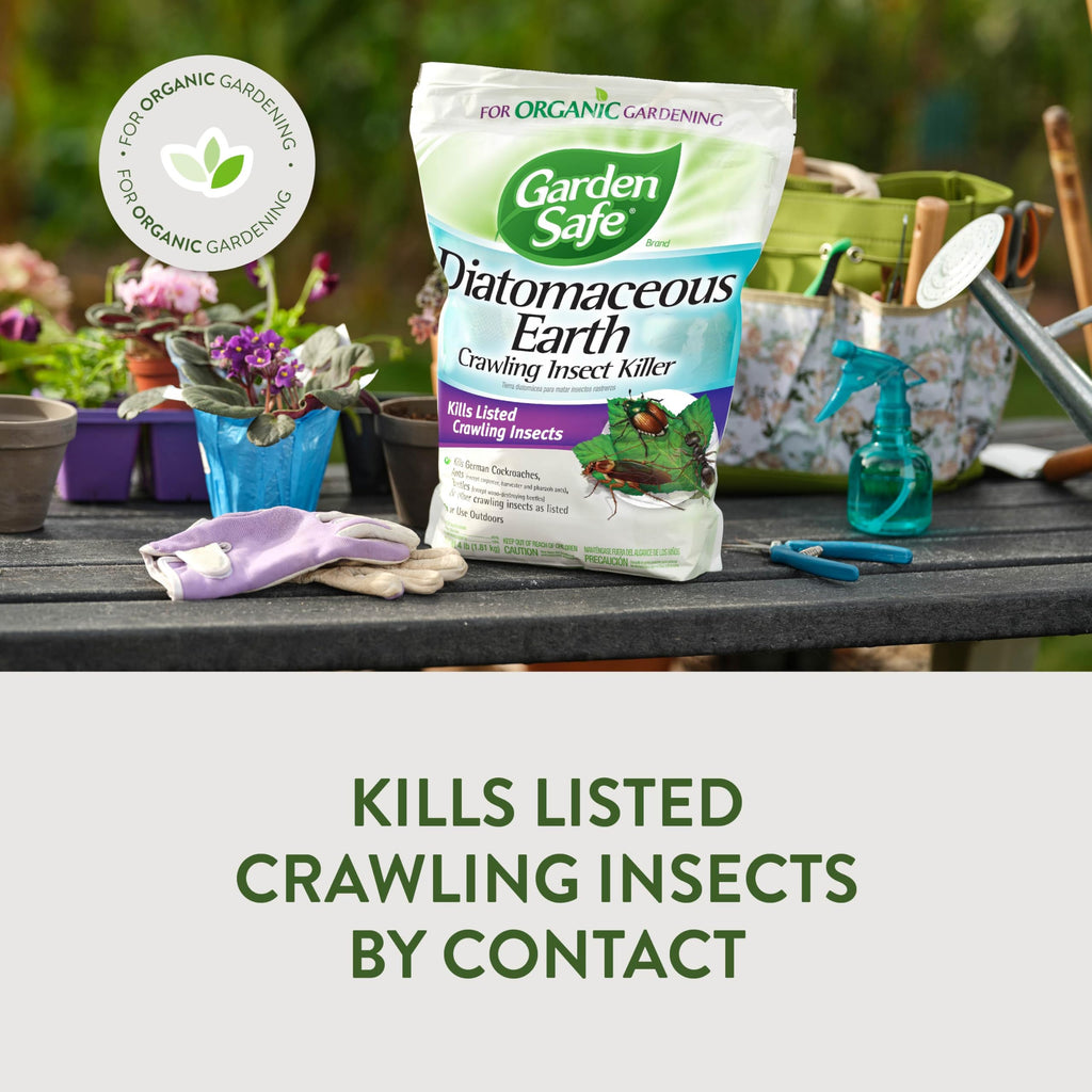 Crawling Insect Killer with Diatomaceous Earth 4 Lb H18016