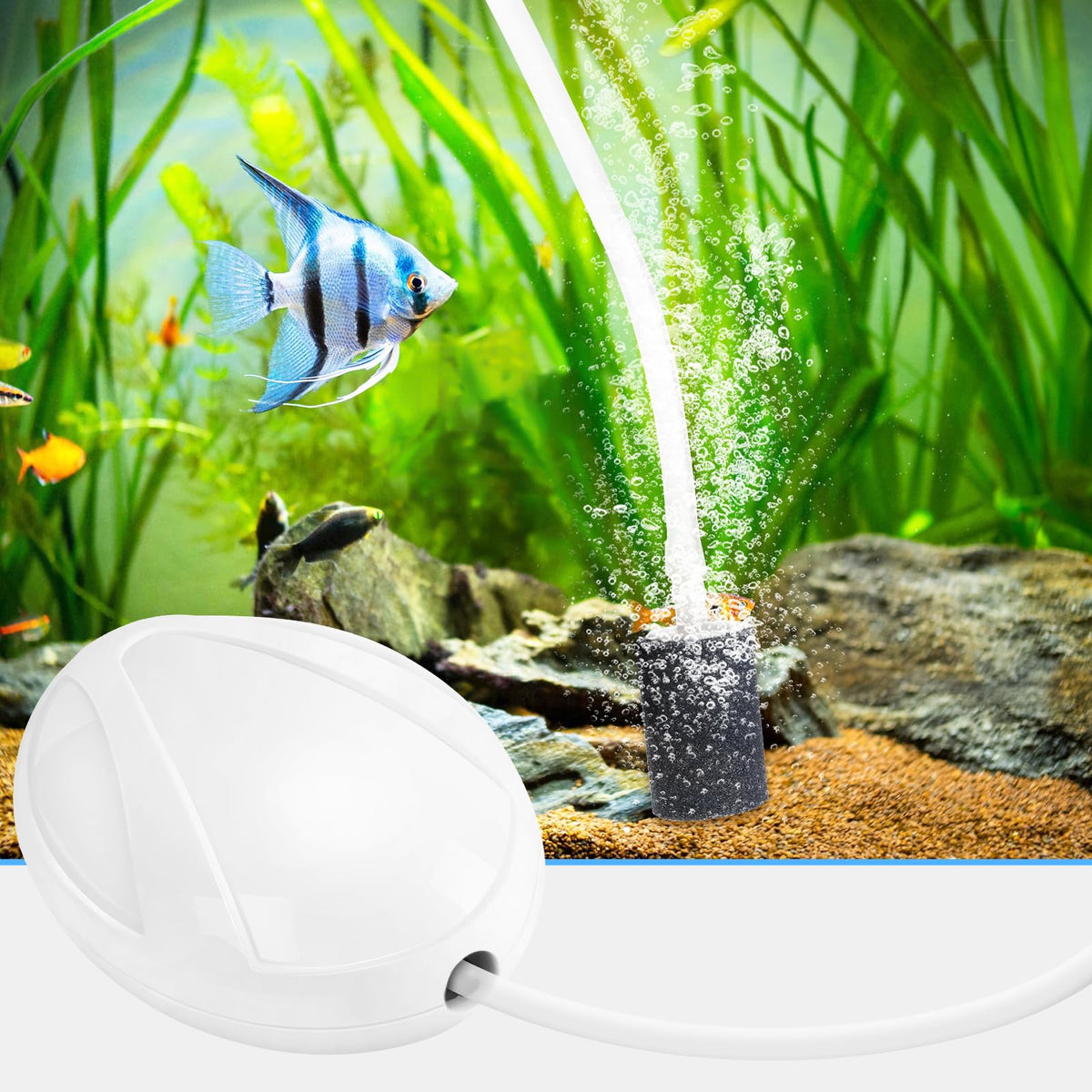 Aquarium Air Pump with Stones, Airline Tubing, Check Valves S802851