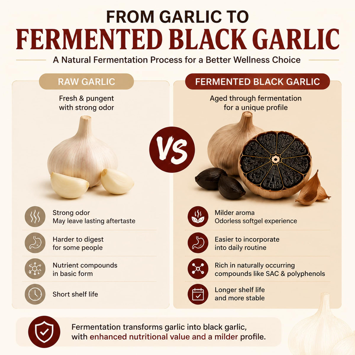 Black Garlic CoQ10 Capsules 300 Count N990363