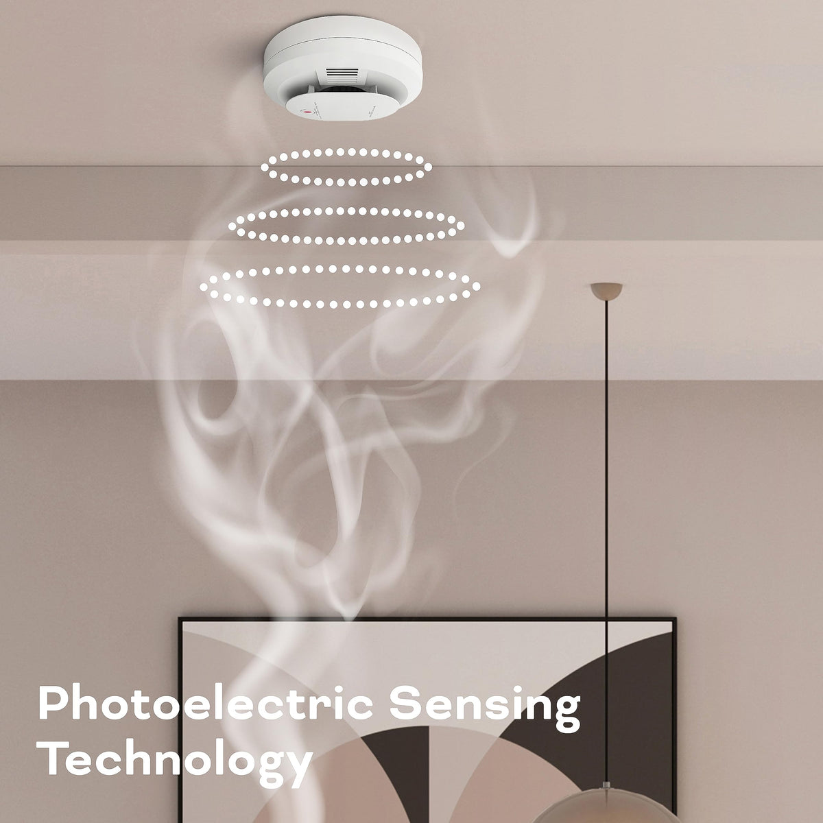 Hardwired Smoke & Carbon Monoxide Detector P938