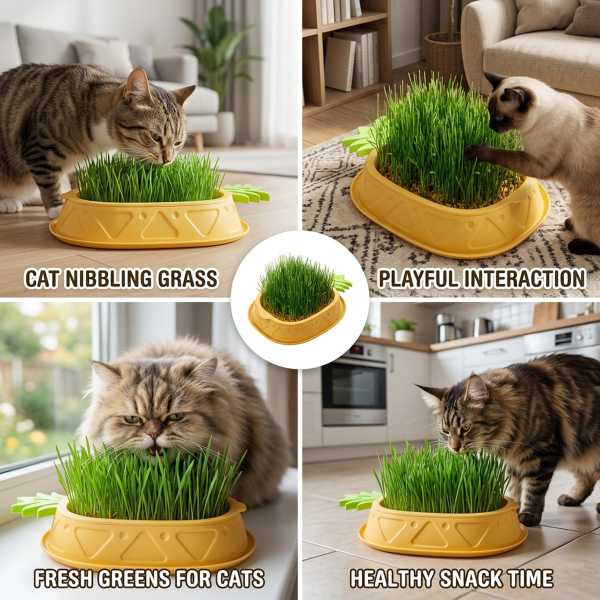 2 Pack Hydroponic Cat Grass Planter V993