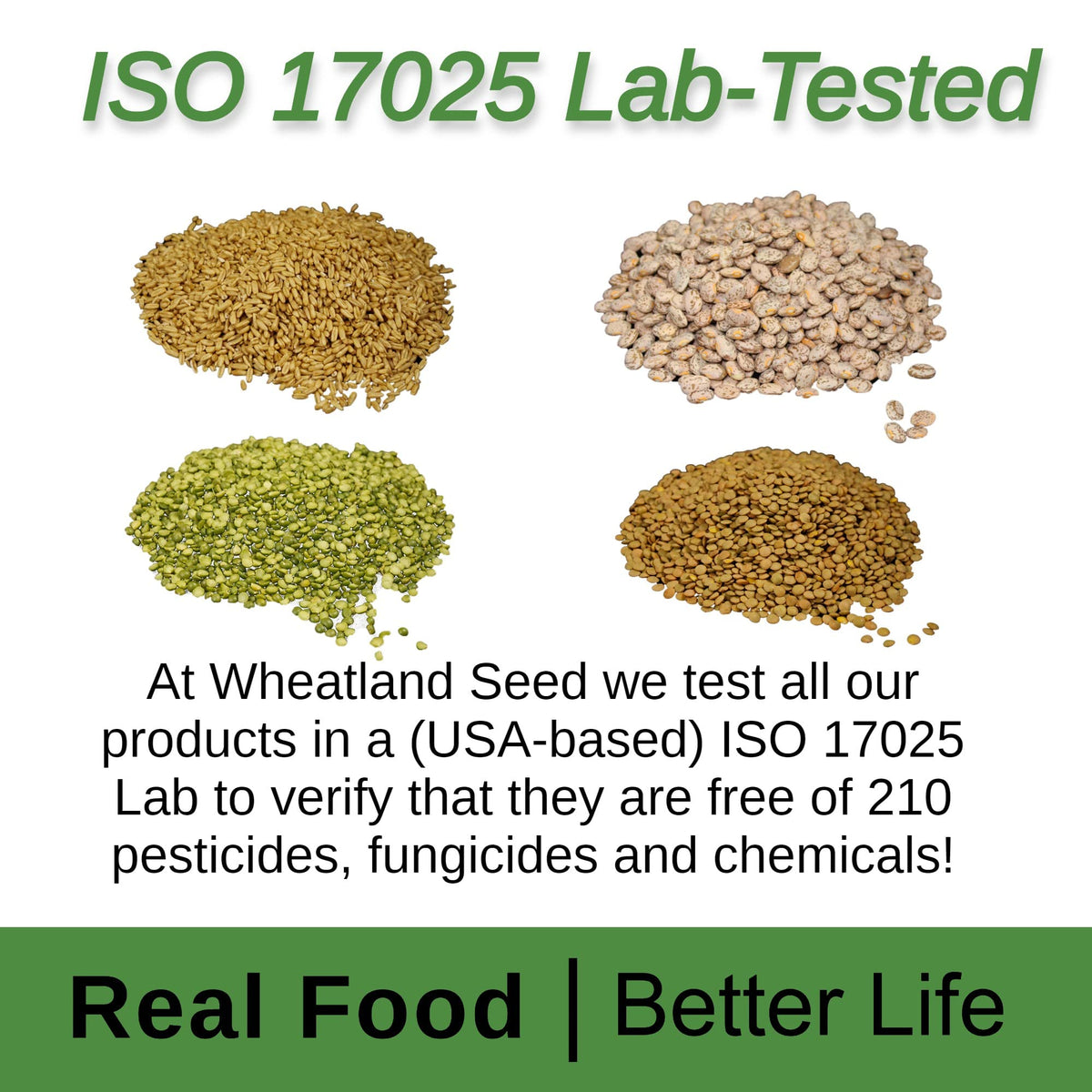 Soft White Wheat Berries 23 lbs Non-GMO A942828