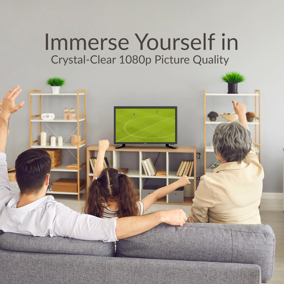 19-Inch LED HDTV with Built-in DVD Player H802